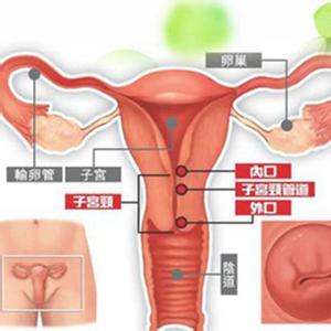 众生之柱 恒星的子宫 众生之柱如何形成的