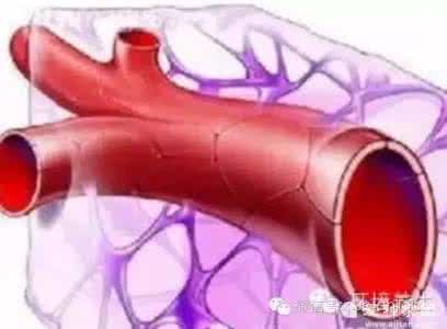 清理干净血管的药方 30岁后把血管清理干净的特效“药”,为自己和家人一定要知道