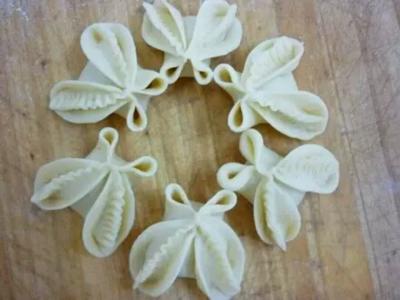 蝴蝶饺子做法视频 蝴蝶饺子做法