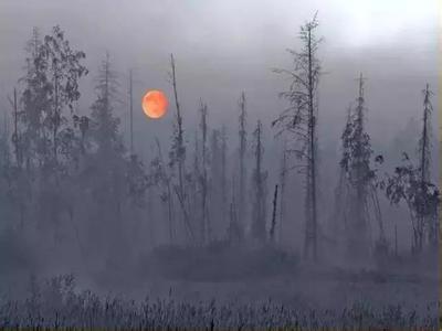 燕山星云 【燕山星云】我们总是要看完别人的人生,才会明白一些道理