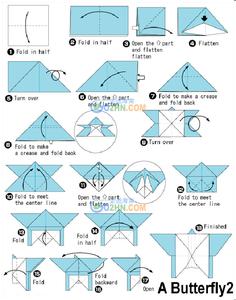 折纸蝴蝶图解 蝴蝶折纸步骤图