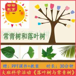 幼儿园大班优质课教案 大班科学优质课教案 幼儿园大班科学优质课教案(精选汇编)1000字