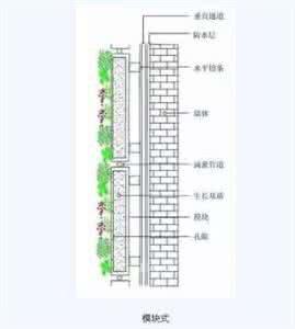 广州外墙垂直绿化jqw 垂直外墙绿化六种做法