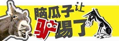 脑子被驴踢了 悔不当初!脑子被驴踢了,装修才做了这50件后悔的事(合集)