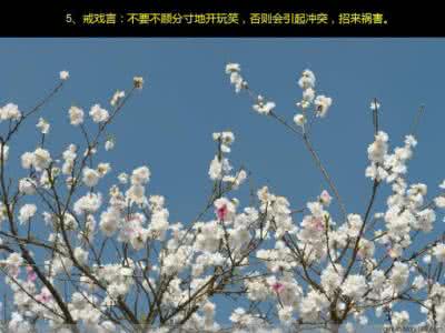 美图美文欣赏 美图美文欣赏（十七）
