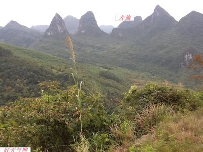 阴宅风水学入门 阴宅风水:五指山