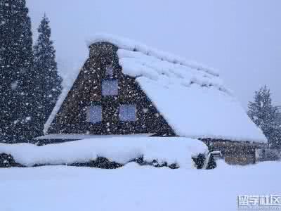 美丽的雪景作文400字 写雪景的350字作文 美丽的雪景