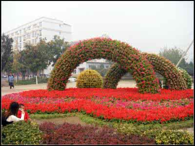 国庆花坛 国庆花坛 国庆花坛及用花情况_国庆花坛