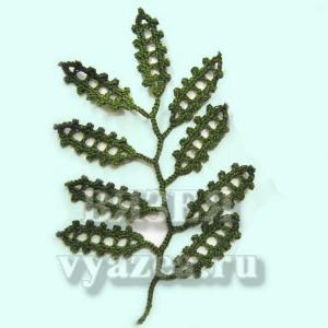 爱尔兰花边 爱尔兰花边——蕨类植物的叶子