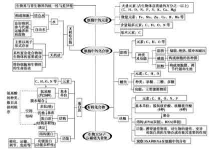 小学三年级科学上册复习教学知识点归纳总结