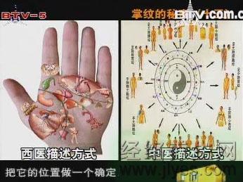 掌纹的秘密 掌纹的秘密视频连载之一*