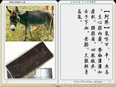 图解神农本草经 《神农本草经》全册图文析解