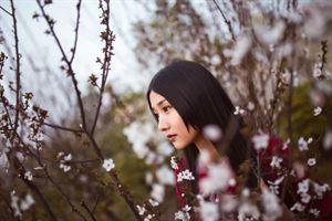 拈花一笑 拈花一笑,禅意人生
