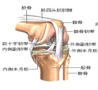 打太极拳膝盖疼 打太极拳膝盖疼的原因 姿势与膝盖关节损伤的关系