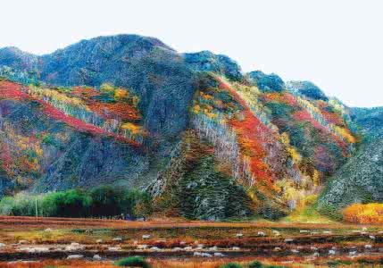 碧桂园九龙湾会升值吗 九龙湾