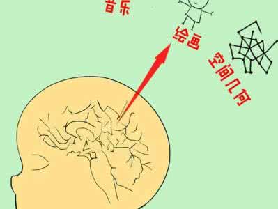 右脑开发训练方法 五个妙招,简单开发宝宝右脑智力