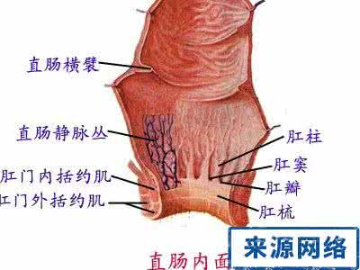 直肠癌的早期症状 直肠癌的早期症状 肠癌的症状 肠癌如何预防呢