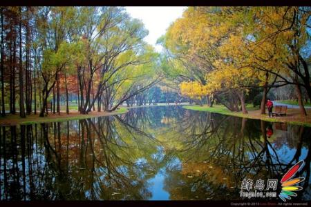 风光摄影的拍摄技巧 风光摄影拍摄技巧 秋季风光拍摄实战技巧