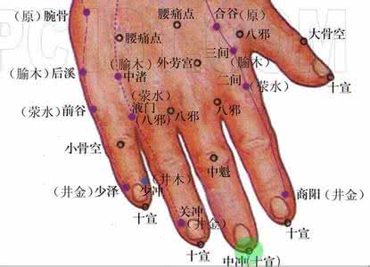 手厥阴心包经曲泽穴位位置图_按摩曲泽穴的作用与好处