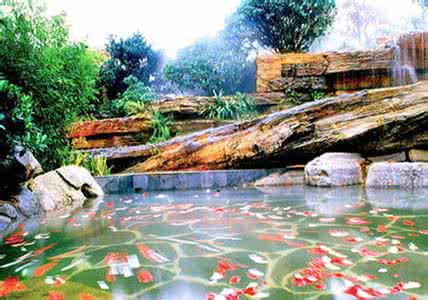 日本樱花自由行 日本温泉游 日本自由行——樱花温泉游(游记)