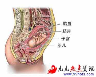 人体的秘密 纪录片 探索人体密秘——人体解剖图