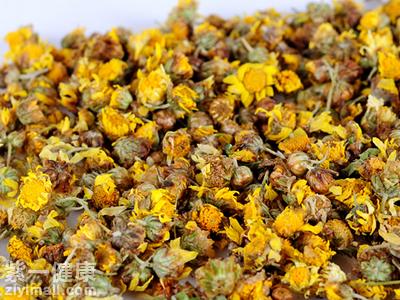 菊花茶的功效与作用 菊花茶的功效与作用 5种菊花功效各异