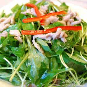 春季养生吃什么 春季养生吃什么 吃这6道野菜健康养生
