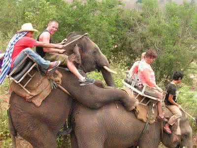 和姐活塞往复运动过程 太大胆！活塞运动时还“出轨”
