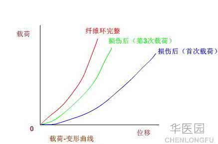 脊柱生理曲线 脊柱生理曲线变化的生物力学基础及临床意义