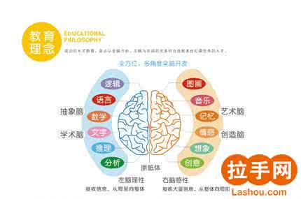 宝宝左右脑潜能开发 全面发展宝宝左右脑