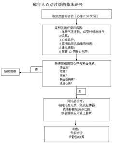 缓慢性心律失常 急诊缓慢性心律失常的诊断与处理(一)