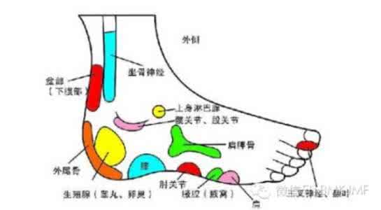 神奇宝贝七大不可思议 人体上的七大神奇点穴救命大法