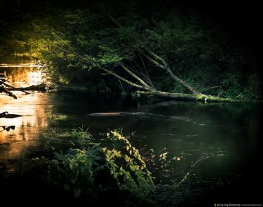 一尘不染音乐下载 来自大自然一尘不染的的音乐50首！