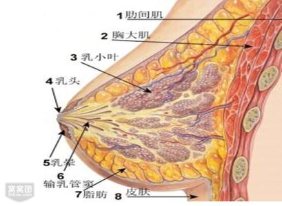 豆角筋儿 筋痛能吃豆类型的吗？