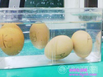 如何鉴别假鸡蛋 教你如何鉴别鸡蛋