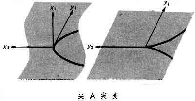 突变论 pdf 突变论