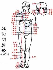 治疗胃病常用药 治胃病——按胃经上的4个常用穴(梁丘、足三里、丰隆、下巨虚)