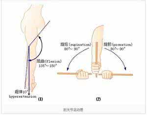 关节活动度训练 图文，关节活动度！