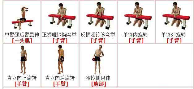 哑铃健身图解大全 哑铃健身图解 哑铃健身图解