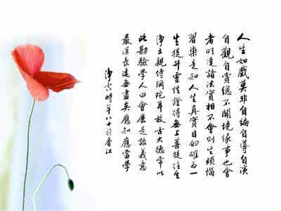 世事难料 经典语录：修一颗无尘的心，看透世事难料