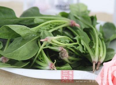 痛风患者能吃菠菜吗 痛风的饮食 痛风患者食用菠菜需谨慎