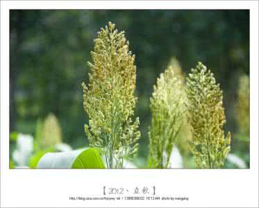 立秋节气吃什么 2012年立秋是哪天?立秋节气吃什么好?