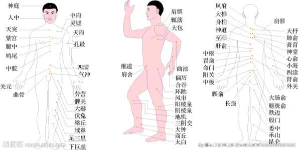 人体学位分布图及作用 人体各个穴位的用途