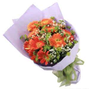 居庸关樱花可以下车吗 花居(下)