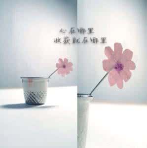 心在哪里收获就在哪里 在哪儿用心,就在哪儿收获