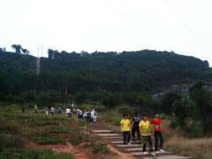 藤县挂榜岭 藤县挂榜岭 震惊！藤县人竟然用这些东西浸酒，难怪身体那么猛！