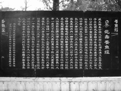 养鱼经全文 养鱼经