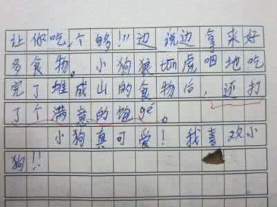三年级上册单元测试题 三年级上册北京版四单元作文 我喜爱的小动物作文