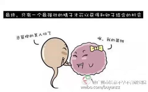 唯美的情感独白 “不够美小姐”的独白