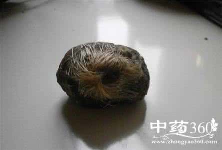 怀孕吃什么坚果比较好 怀孕可以吃火烧吗?怀孕吃什么比较好